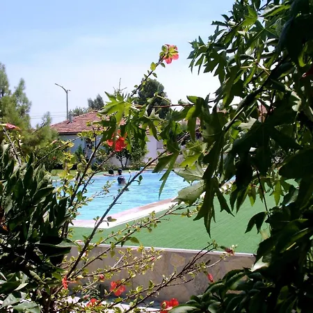 Gurkan Dalyan
