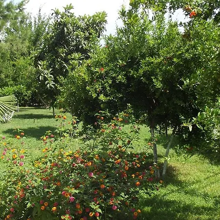 Gurkan Aparthotel 2*