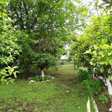 Appart hôtel Gurkan Dalyan