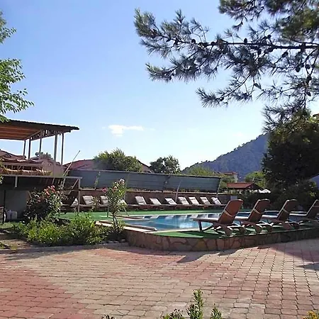 Gurkan Dalyan