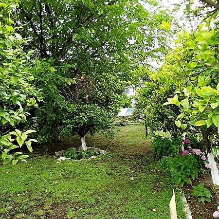 Apartahotel Gurkan