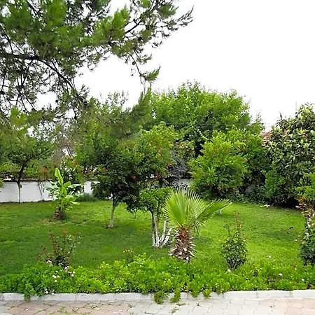 Gurkan Dalyan
